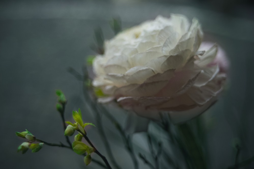 Vom Werden und Vergehen